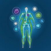 obesity scan person