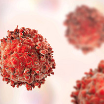 Oncology cellular research focus