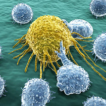 Cancer tumor treatment research