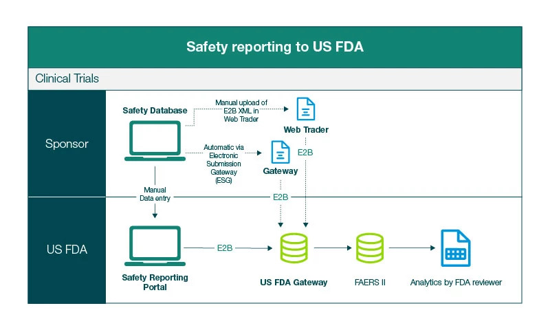 Safety reporting workflow diagram for FDA compliance