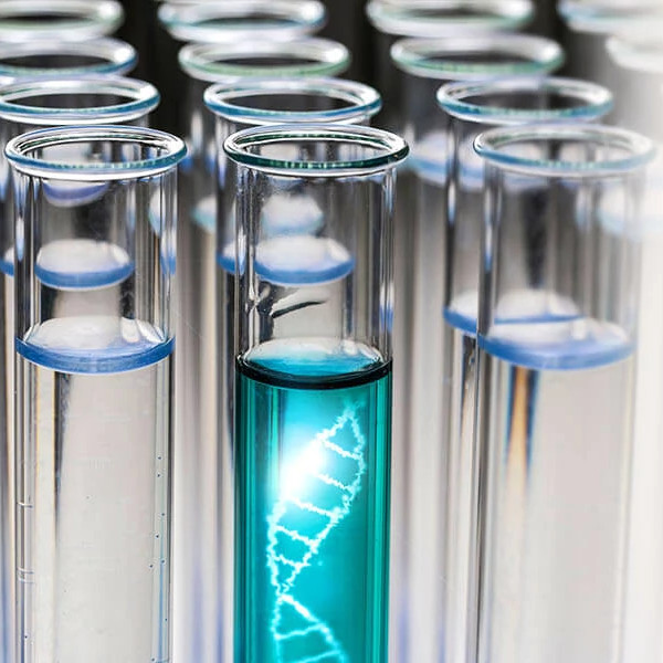 Personalized treatment approaches