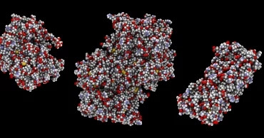 Protein biomarker selectivity assessment methods.