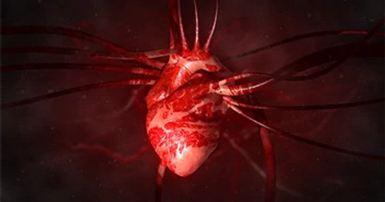 Cardiovascular research heart illustration