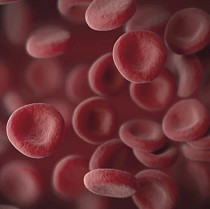 Hematology analysis in cancer diagnosis