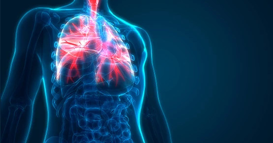 Lung function monitoring