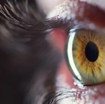 Retinal disease diagnostic imaging technique
