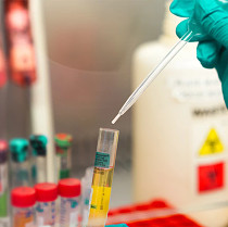 lab sampling