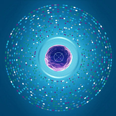 Oncology survey report web assets
