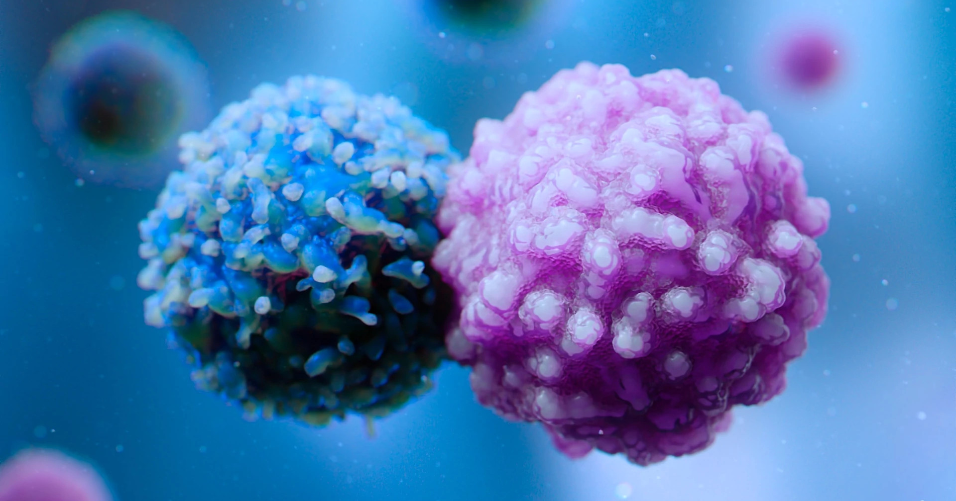 T-Cell and B-Cell
