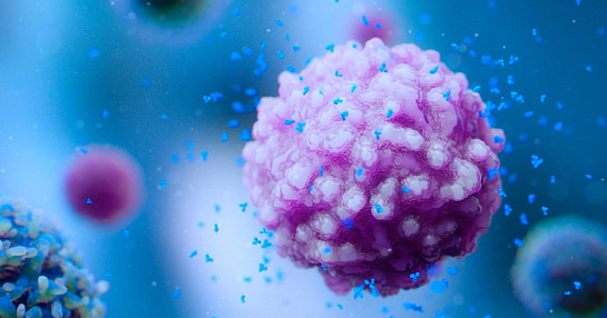 T-Cell releasing antibodies