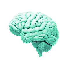 TBI