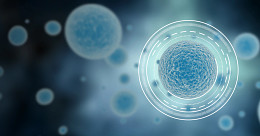 Innovative research tools showcase