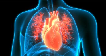 cardiovascular therapeutics