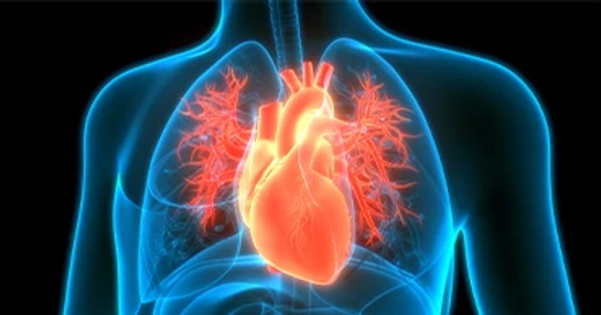 cardiovascular therapeutics