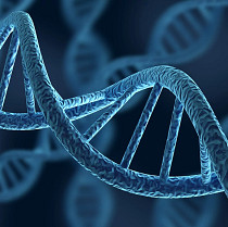 DNA