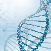 DNA