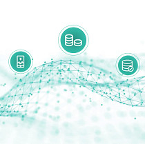data network