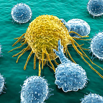 Cancerous tissue analysis for immunotherapy matching