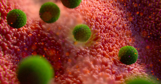 Viral infection research in stomach