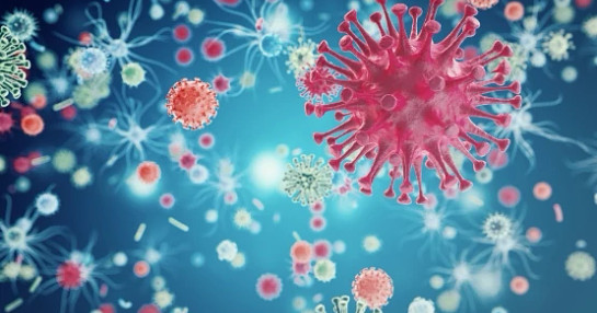Viral infection research insights