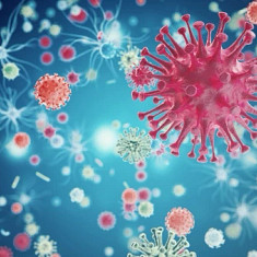 Viral infection research insights