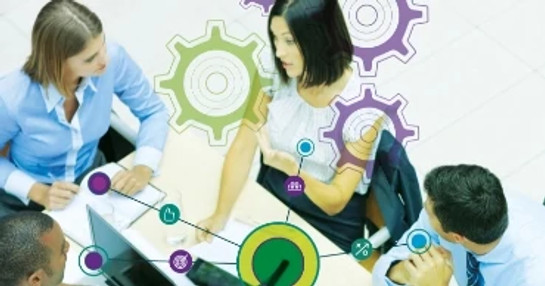 Strategic alliance guidelines