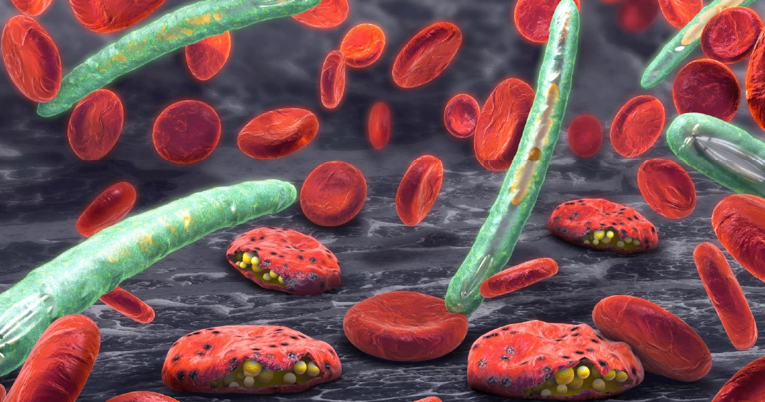 malaria_blood_cells