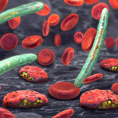 malaria_blood_cells
