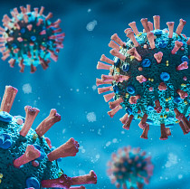 virus_infectious_disease