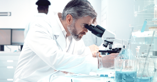 Obesity research findings overview