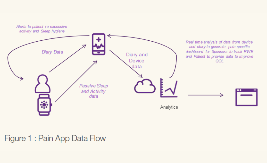pain app flow