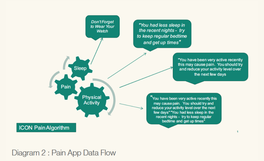 pain app flow