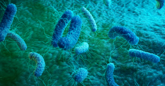 Future vaccine preparedness header