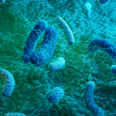 Future vaccine preparedness header