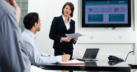 Professional presenting case study results